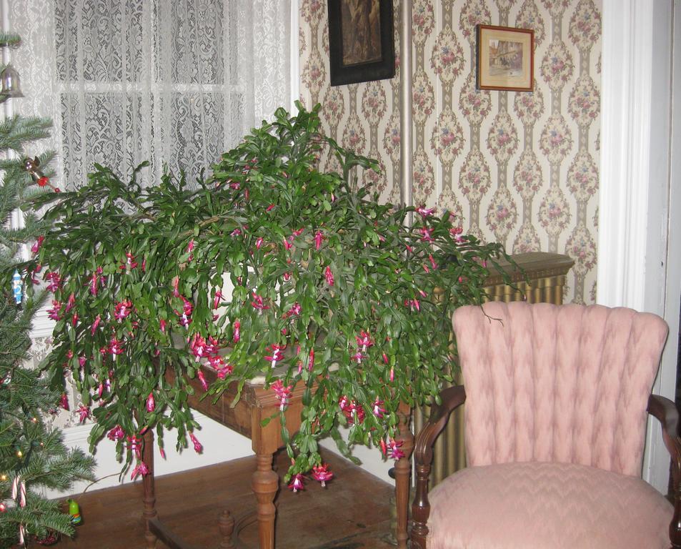 The Bridges Inn At Whitcomb House B&B Swanzey Exteriör bild
